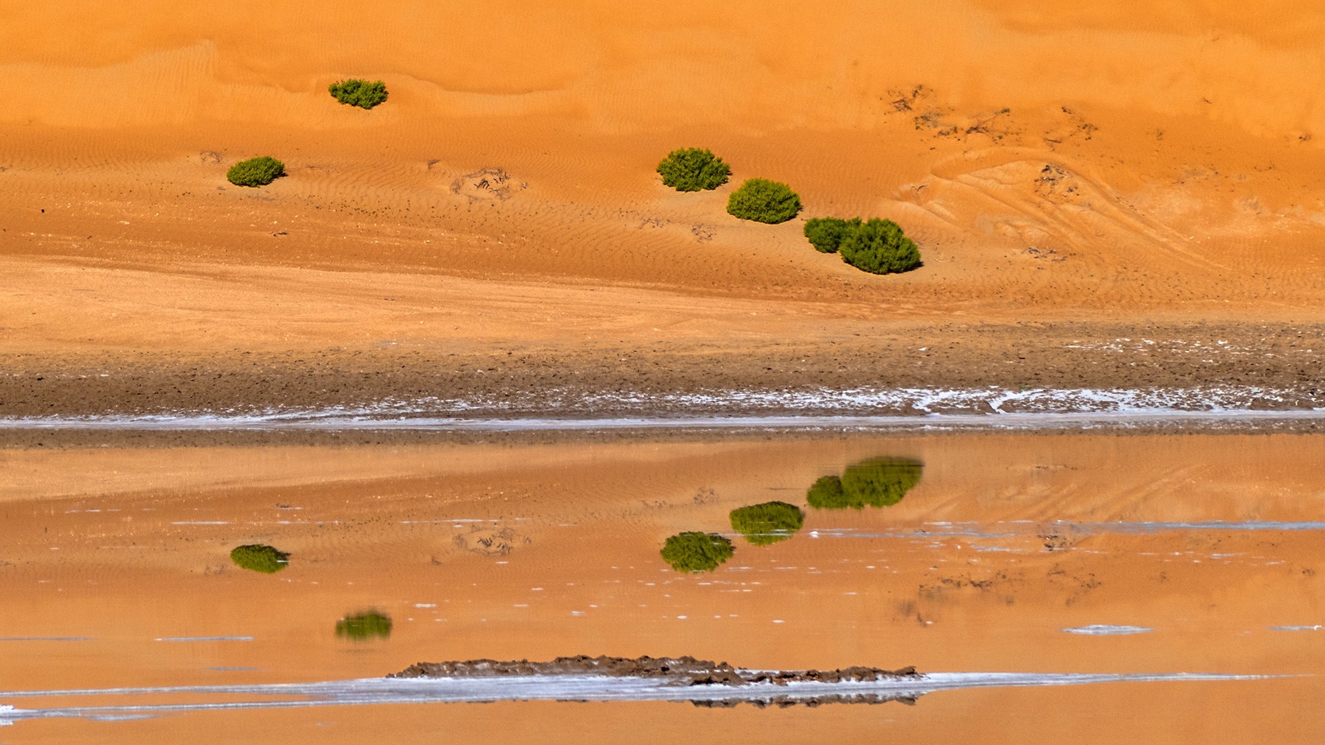 Reflection in Desert